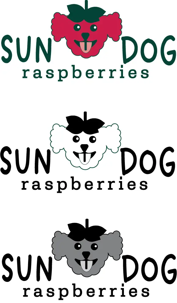 raspberryx3 copy