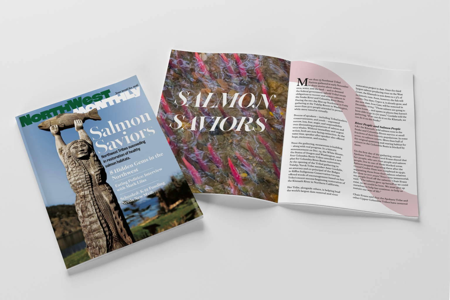 salmon magazine mockup